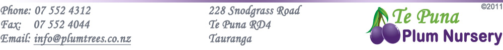 Buy Wholesale Stone fruit trees from Te Puna Plum Nurseries