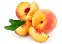 Wholesale Peach Trees